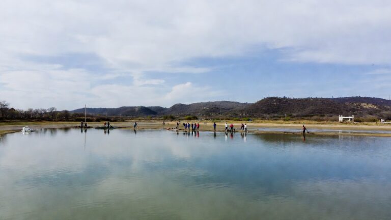 San Miguel de Allende Combate Lirio en Presa Allende