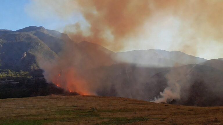 Incendio en Cerro Gordo Consume Más de una Hectárea en León