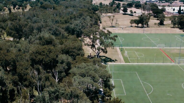 Bosque Deportivo de San Miguel: Nuevas Canchas en Zona Protegida